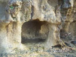 Sandstone formations on Mzamba Beach