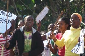 Voices of the people