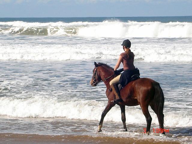 Beach Riding