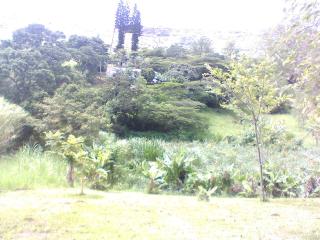 IMG050.JPG