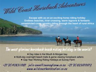 Horse Riding Holidays on the Wild Coast