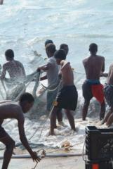 Young men work hard netting Sardines on Umzumbe Beach, KwaZulu-Natal. Photo by Steve McNicholas.