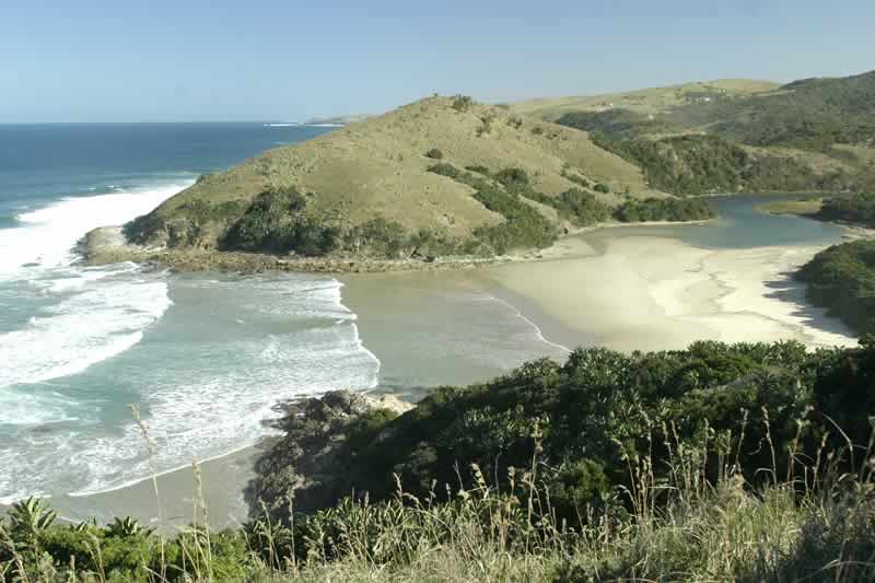 Overleve I navnet lige Hluleka Nature Reserve | Wild Coast