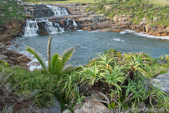 Mkambati waterfall