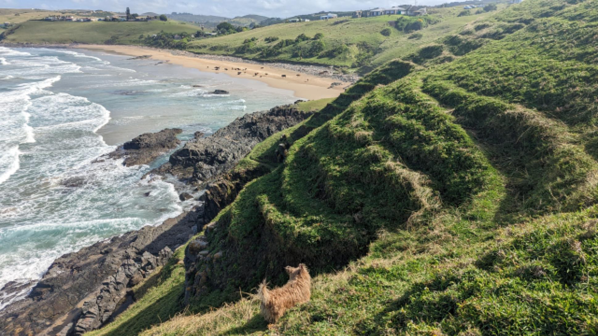 Goat trails on Black Rock