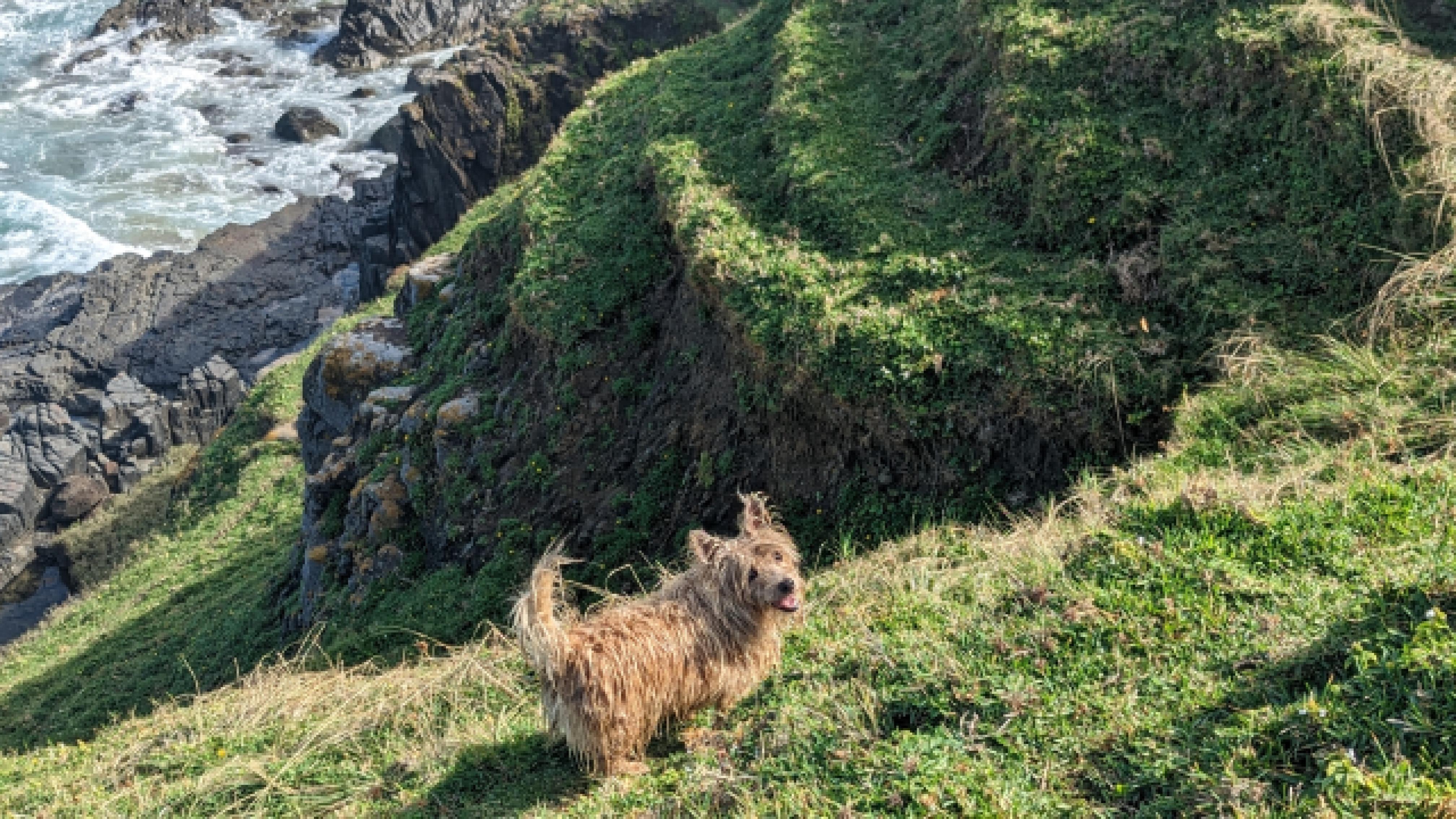 Goat trails on Black Rock